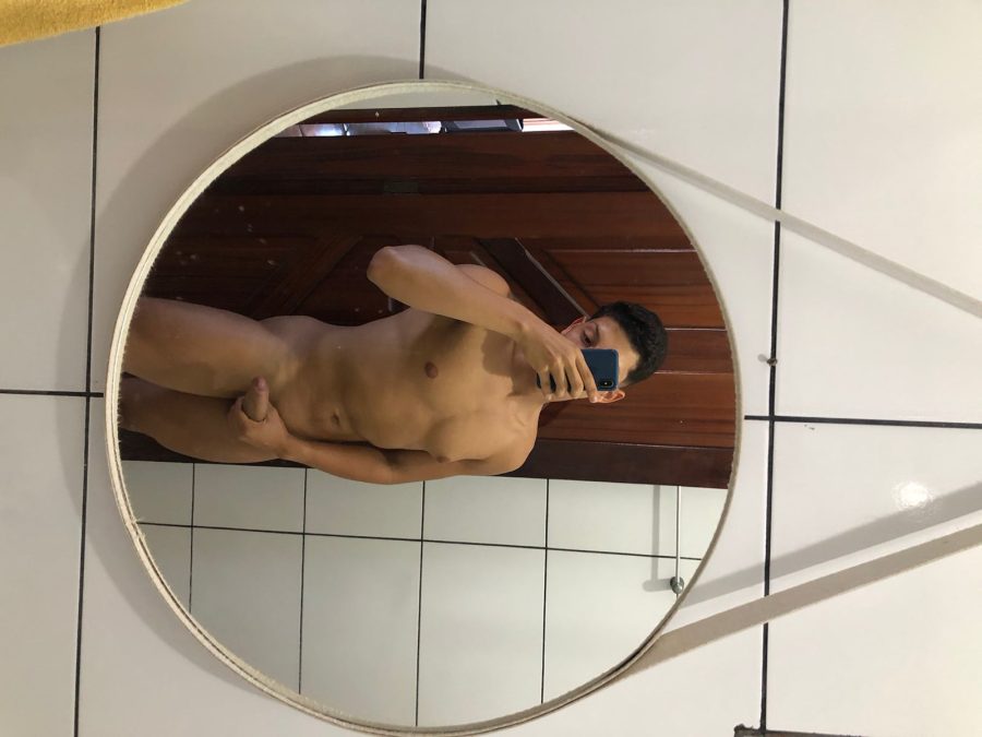 Novinho Malhado 24