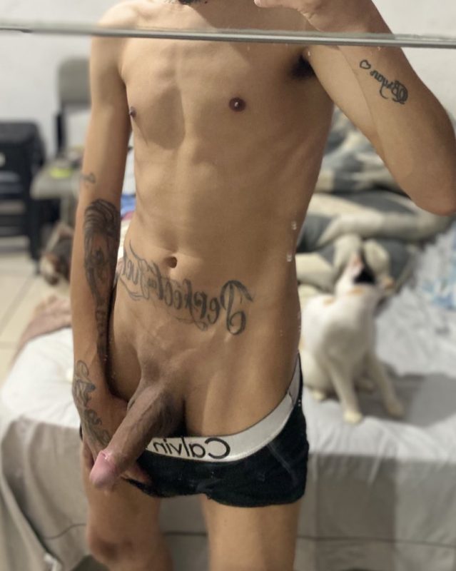 Paulo Tomas 8