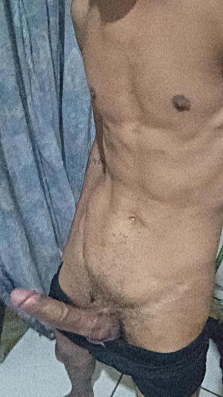 Novinho 19cm 8