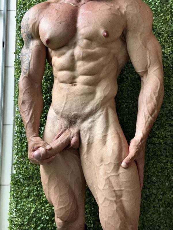 Sr Exibido 90