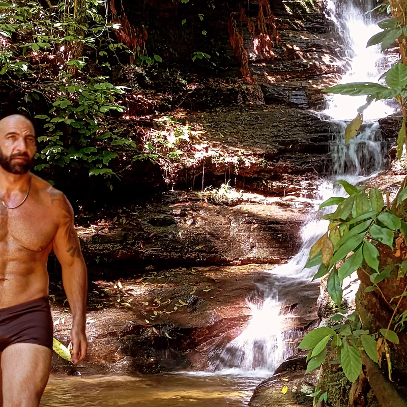 Brendo