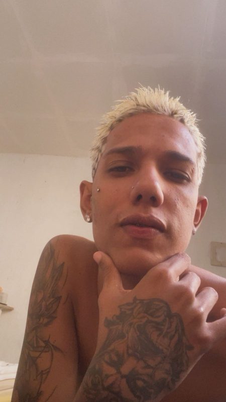 Noviinho Versátil 2