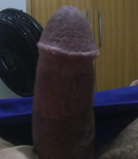 Gordo Trepa Bem 3