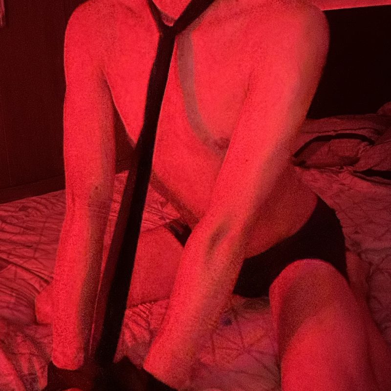 Gato Malhado 5