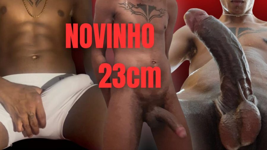 Novinho dot23