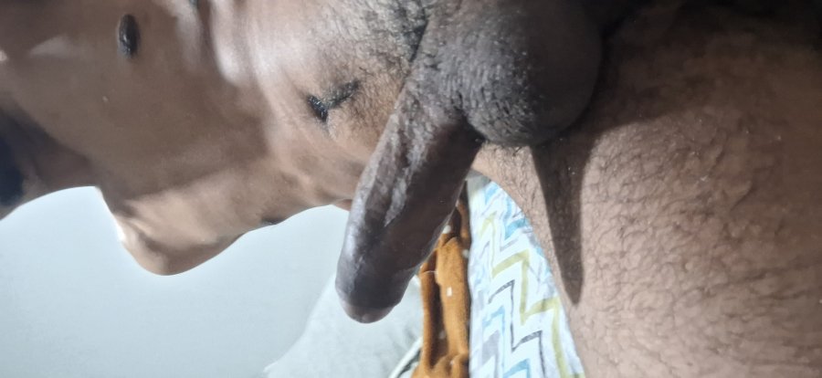 Cubano Gostoso 3