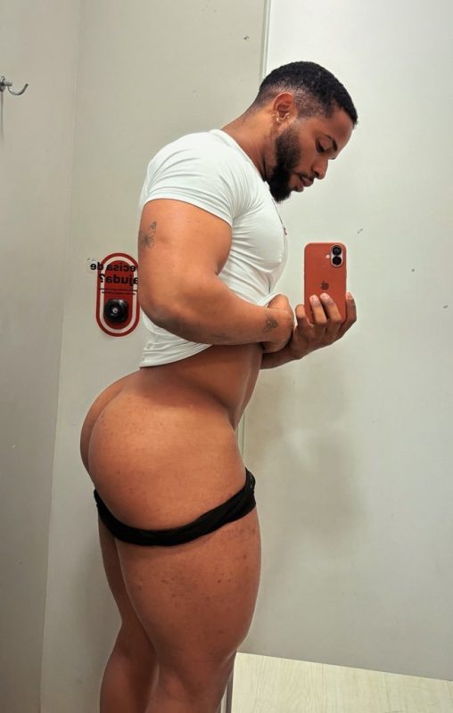 Novinho Malhado 3