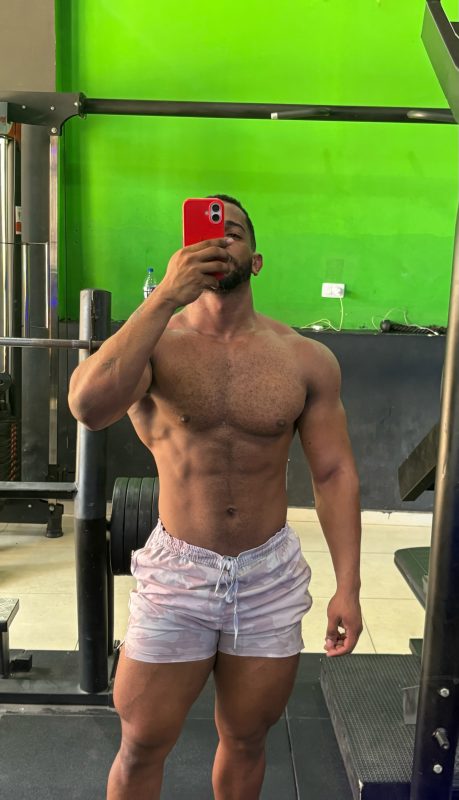 Novinho Malhado 2