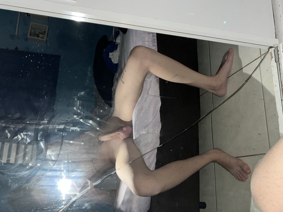 Noviinho Safado 1