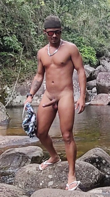 Novinho Vst 22