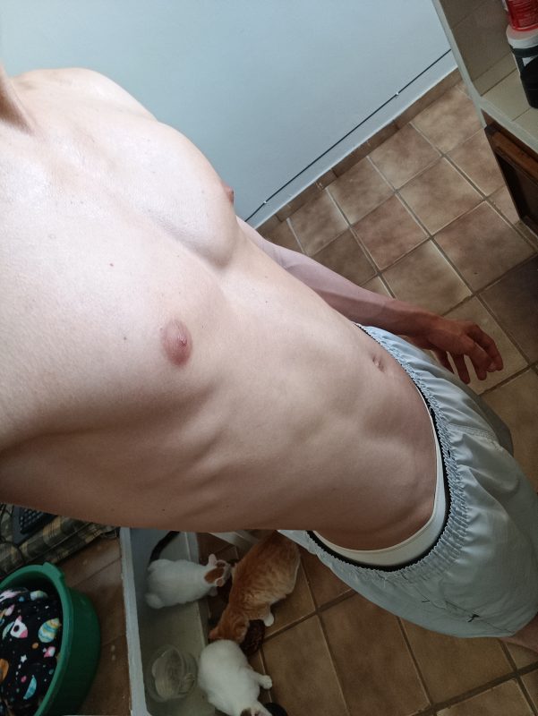 Novinho Saffado 1