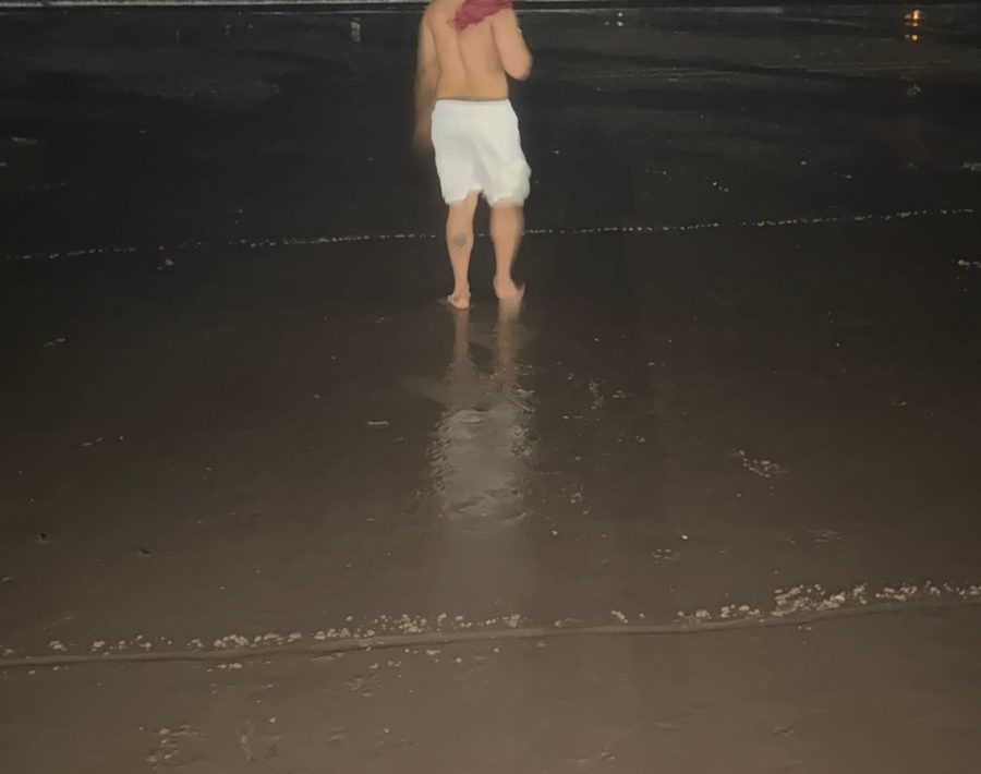 Gustavoo 5