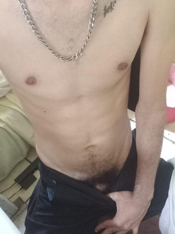 Jota Pentelhudo 13