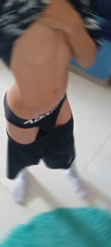 Novinho 1