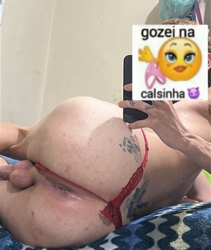 Passivo Novinho 3