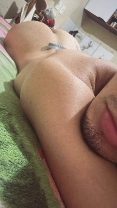 Passivo Novinho 2