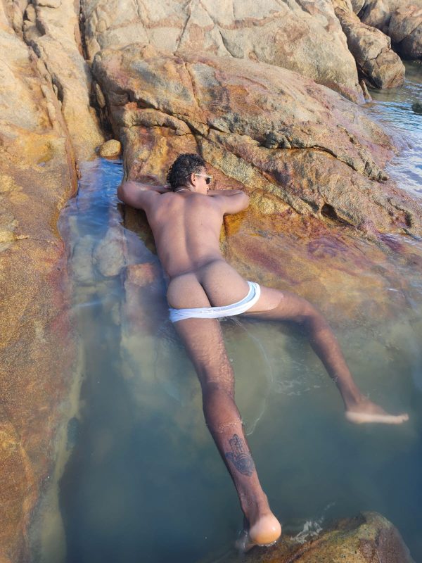 Mulato Dotado 15