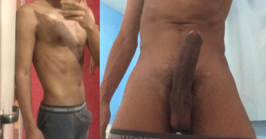 Cavalo Novinho