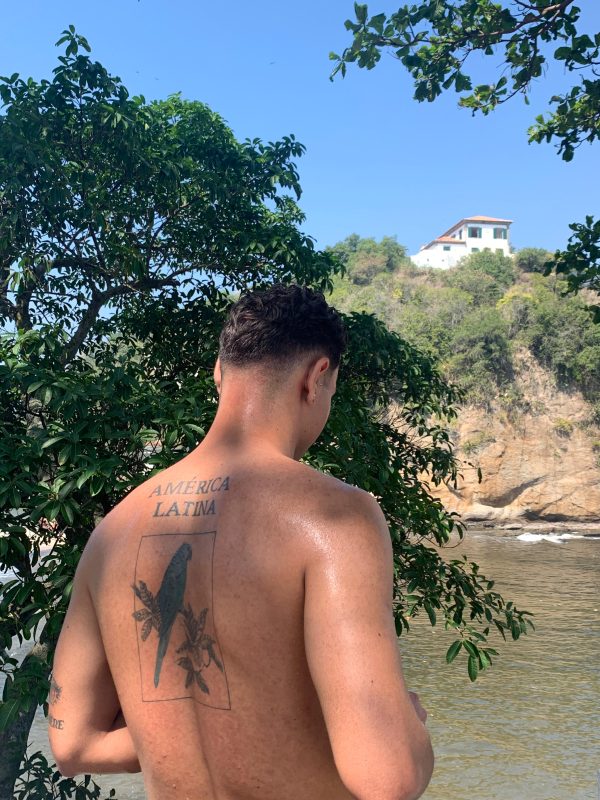 Novinho Marrento 2