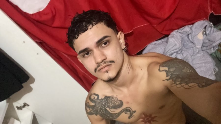 Novinho Dotado20cm