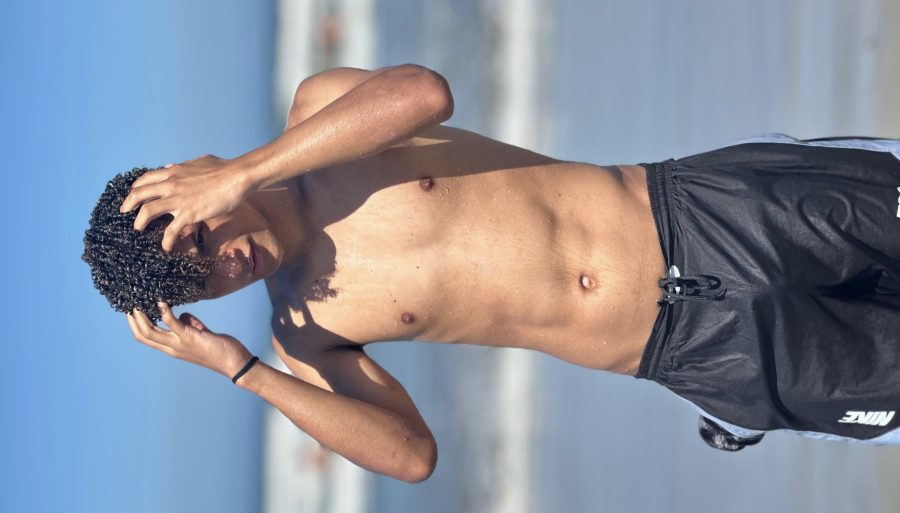 Ícaro Silva