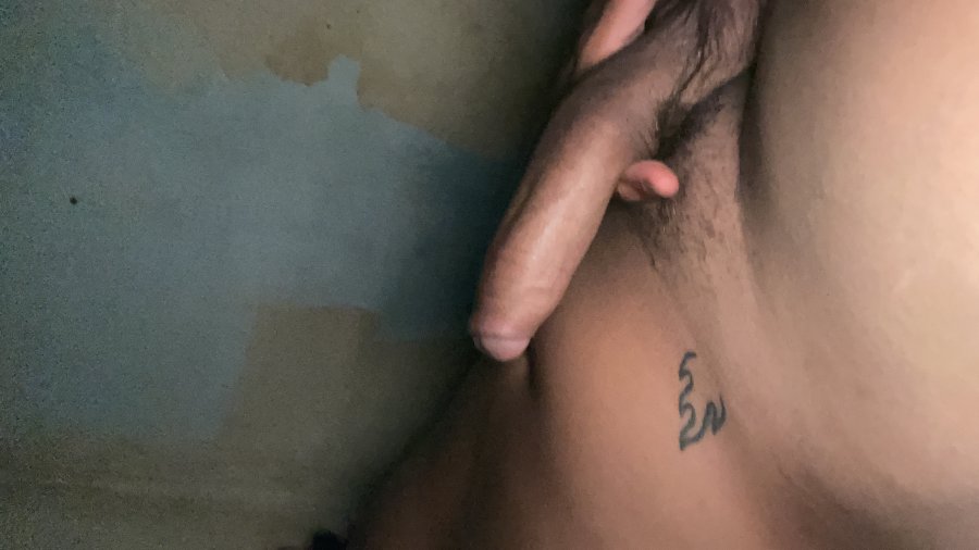 Vini Pauzudo 25cm 17