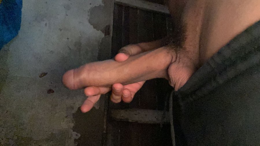 Vini Pauzudo 25cm 91