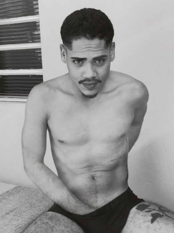Dom Ariel 2