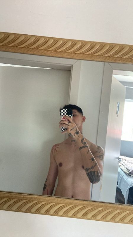 Novinho Malhado 13