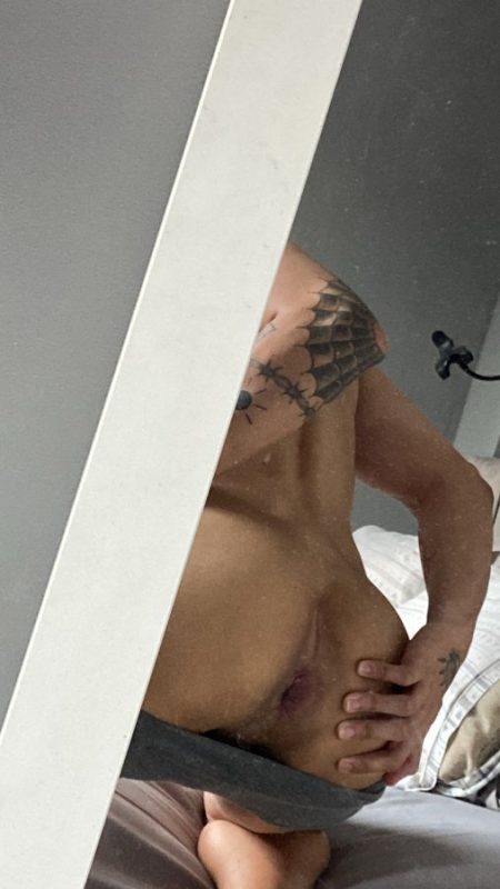 Novinho Malhado 5