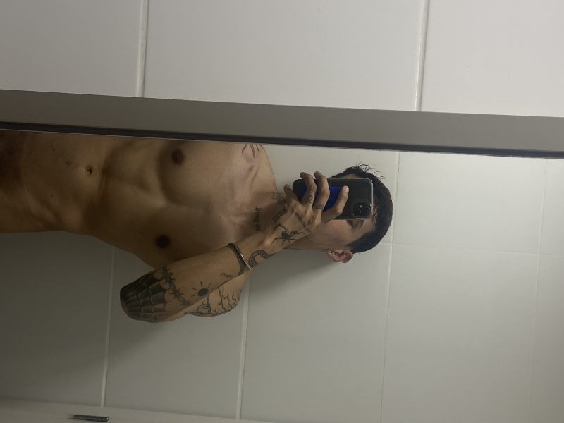 Novinho Malhado 6