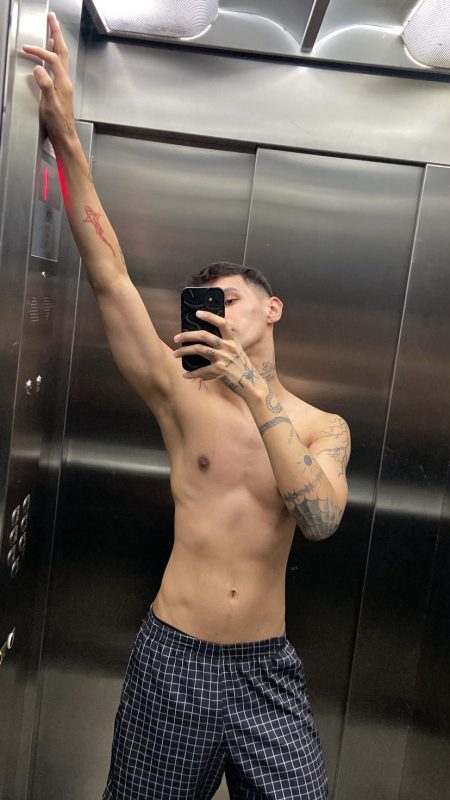 Novinho Malhado